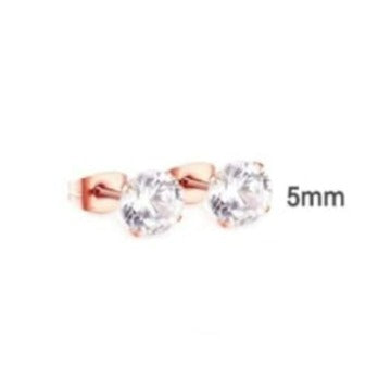 Stalen Zirkonia Oorbellen Rose Gold Plated Studs