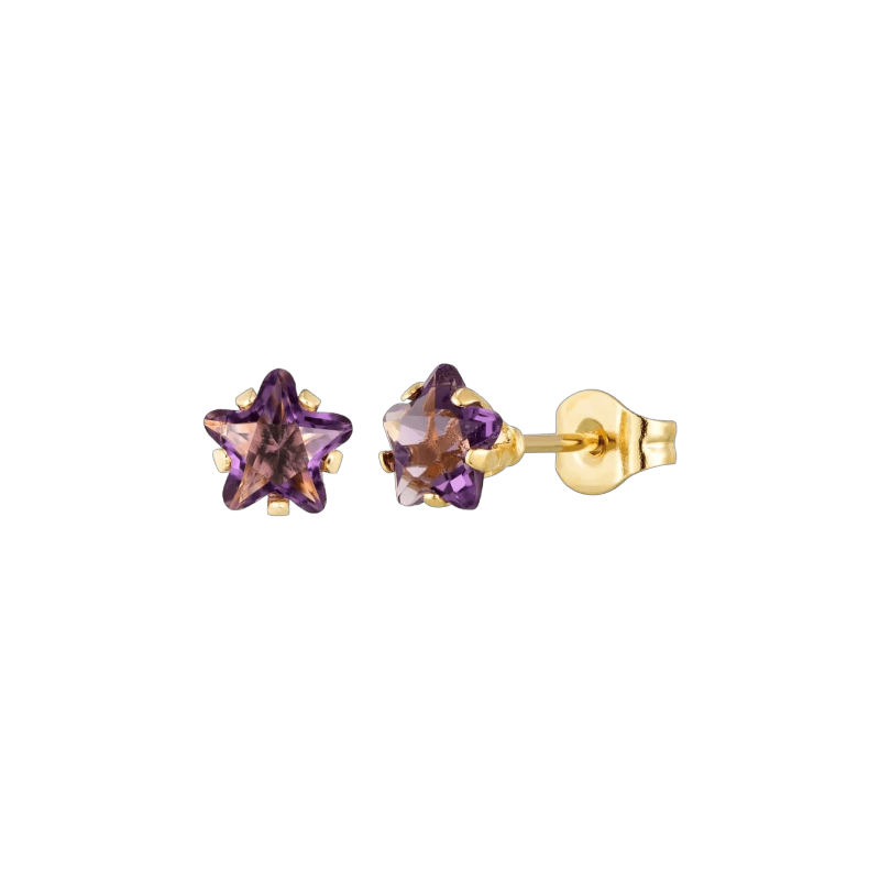 Boucles d'oreilles étoile dorées avec zircon violet en acier inoxydable