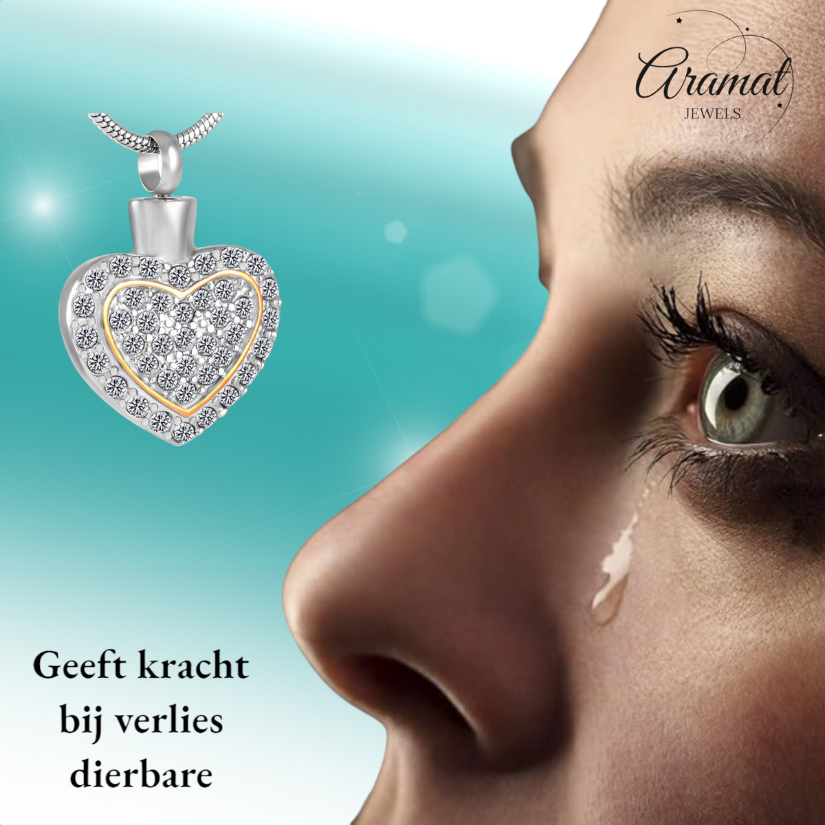 Sprankelend hart as-sieraad staal met kristal