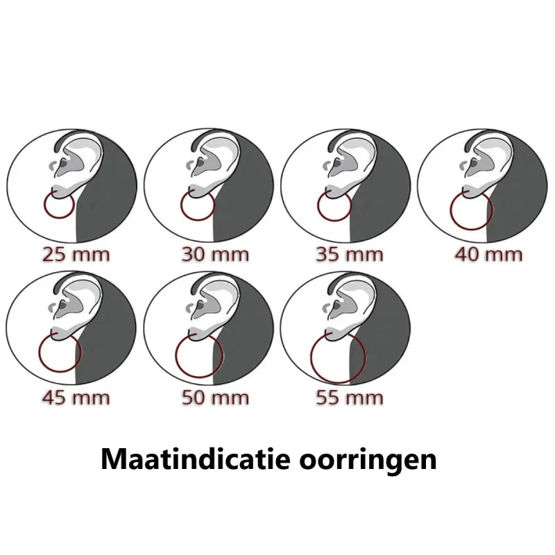 Zes Verschillende Maten Vogels Oorringen - Zilveren Oorringen Cats Eye