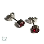 Stalen Kristallen Oorknopjes Zilverkleurig / 5 Mm / Rood | Oorbellen