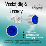 Donkerblauwe kristal oorstekers – 5mm zilver RVS