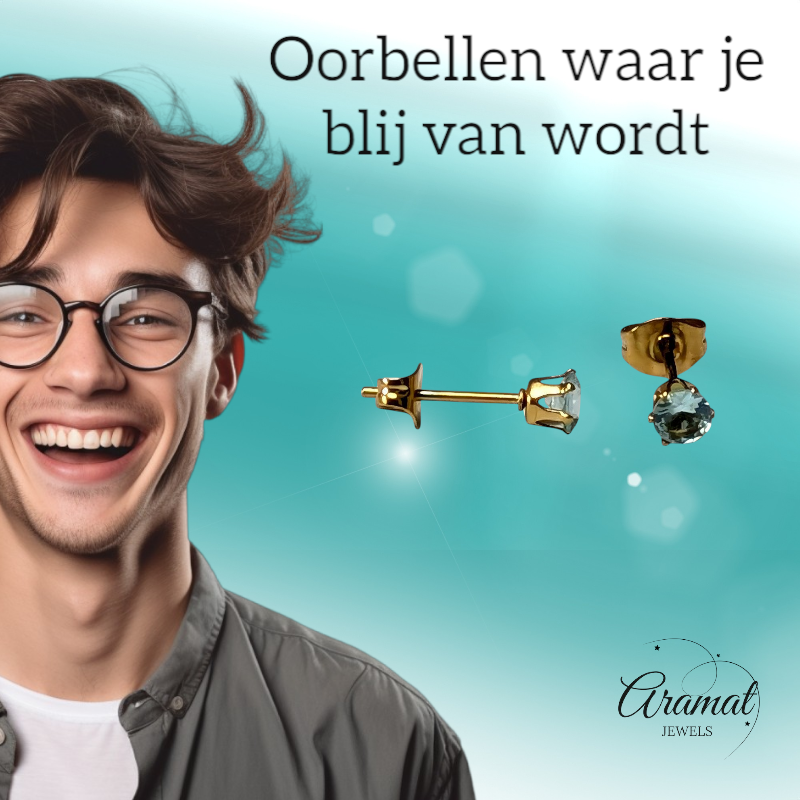 Zirkonia Oorbellen Lichtblauw – 4mm – RVS