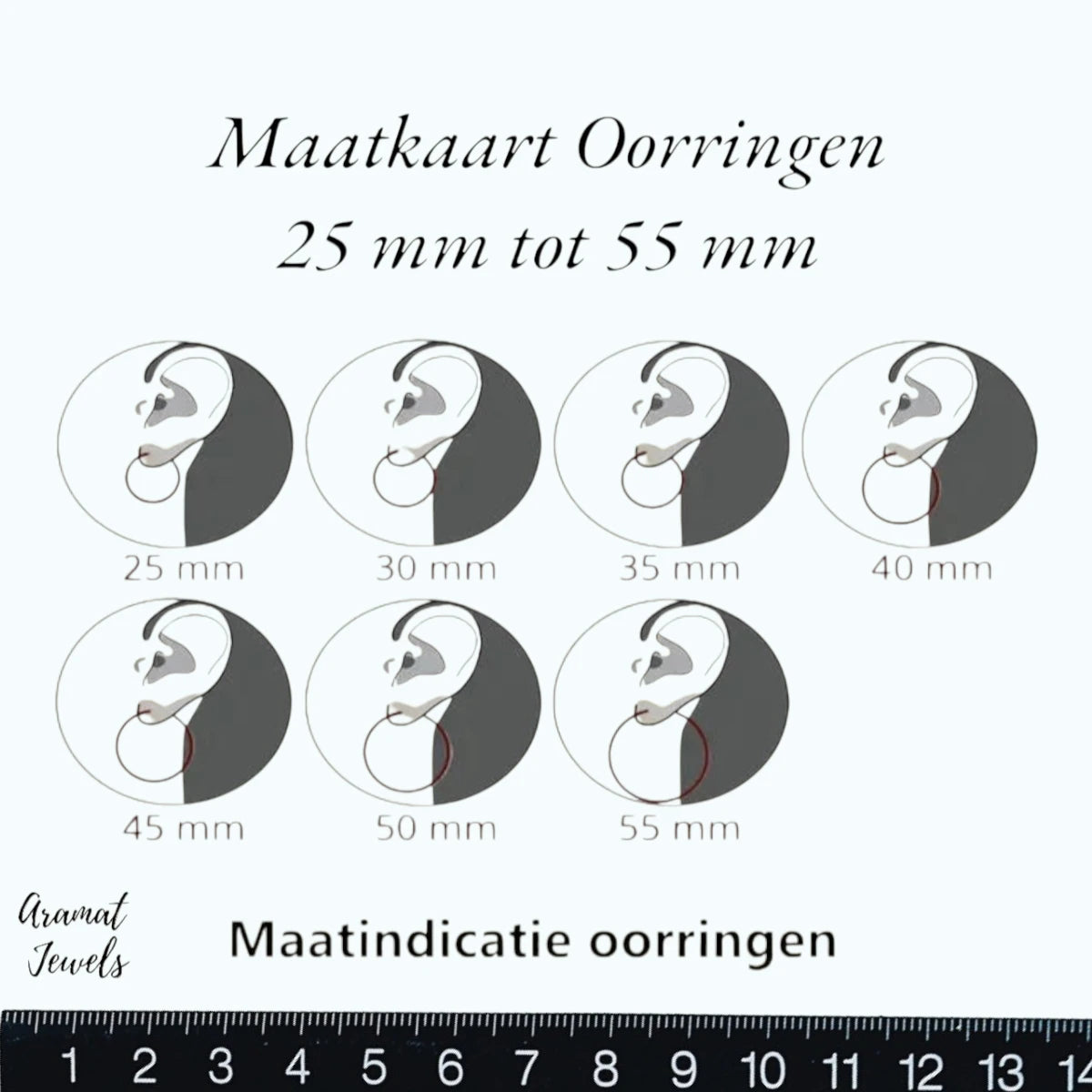 Brede Stalen Oorringen zilverkleurig RVS