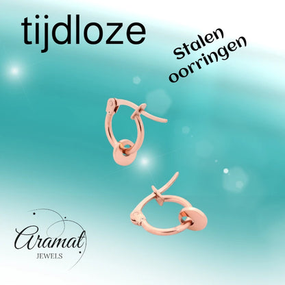 Rose Gold Steel 10mm Earrings with Round Charm