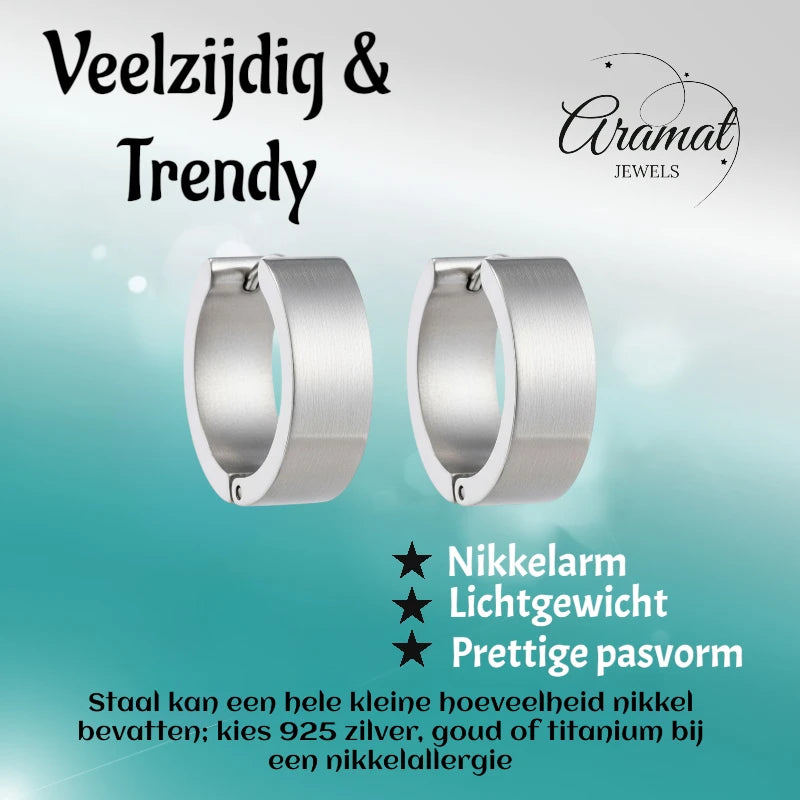 Oorringen – 20mm Creolen Glad Glanzend RVS Zilverkleur Unisex