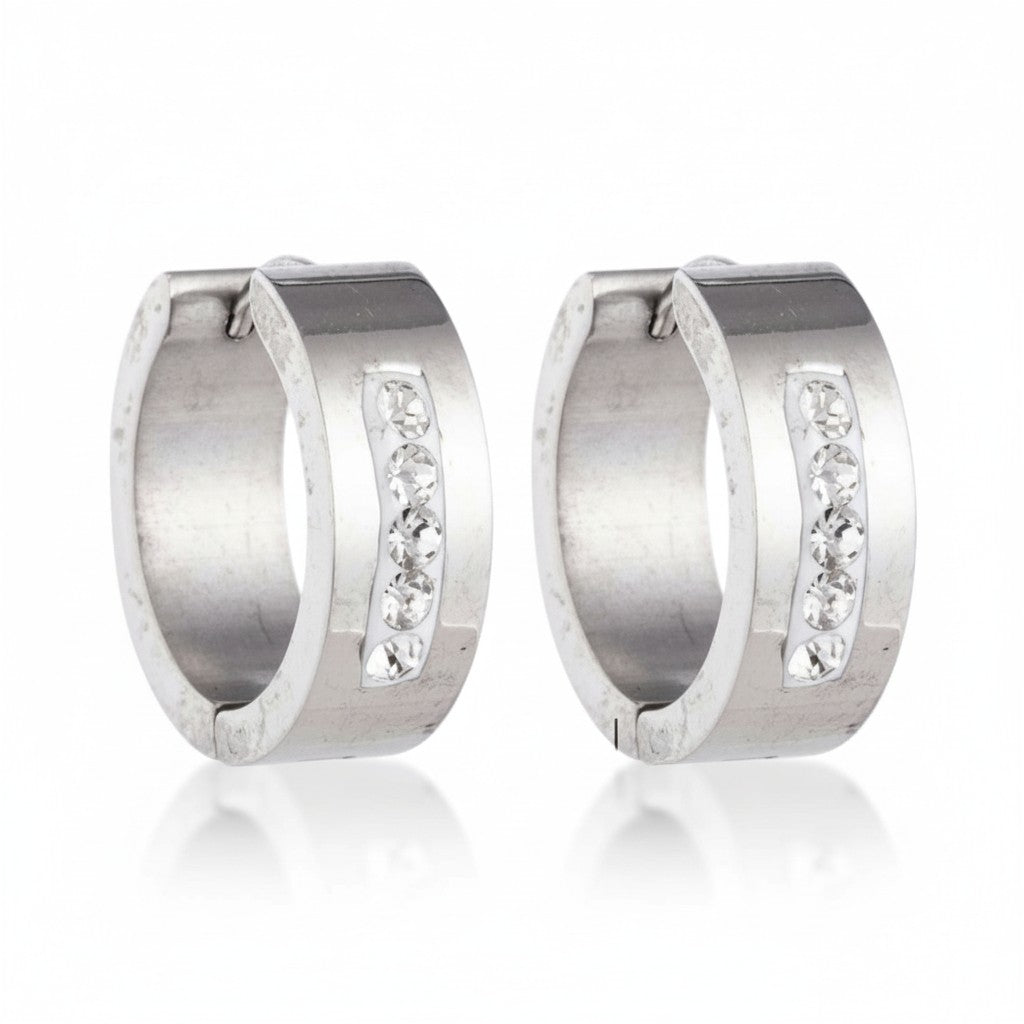 Oorringen – 20mm Kristal Streep RVS Zilverkleur Dames