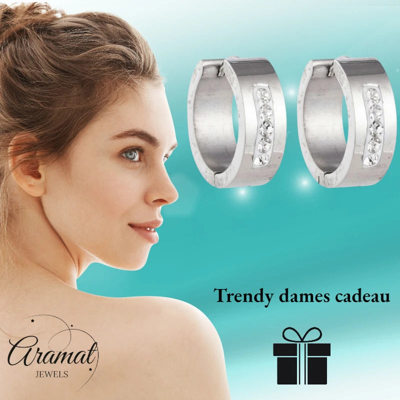 Oorringen – 20mm Kristal Streep RVS Zilverkleur Dames