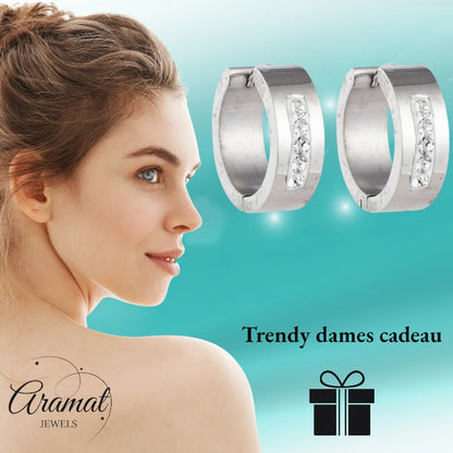 Oorringen – 20mm Kristal Streep RVS Zilverkleur Dames