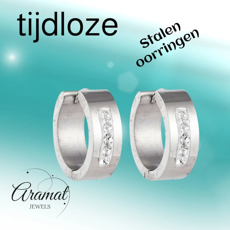 Oorringen – 20mm Kristal Streep RVS Zilverkleur Dames