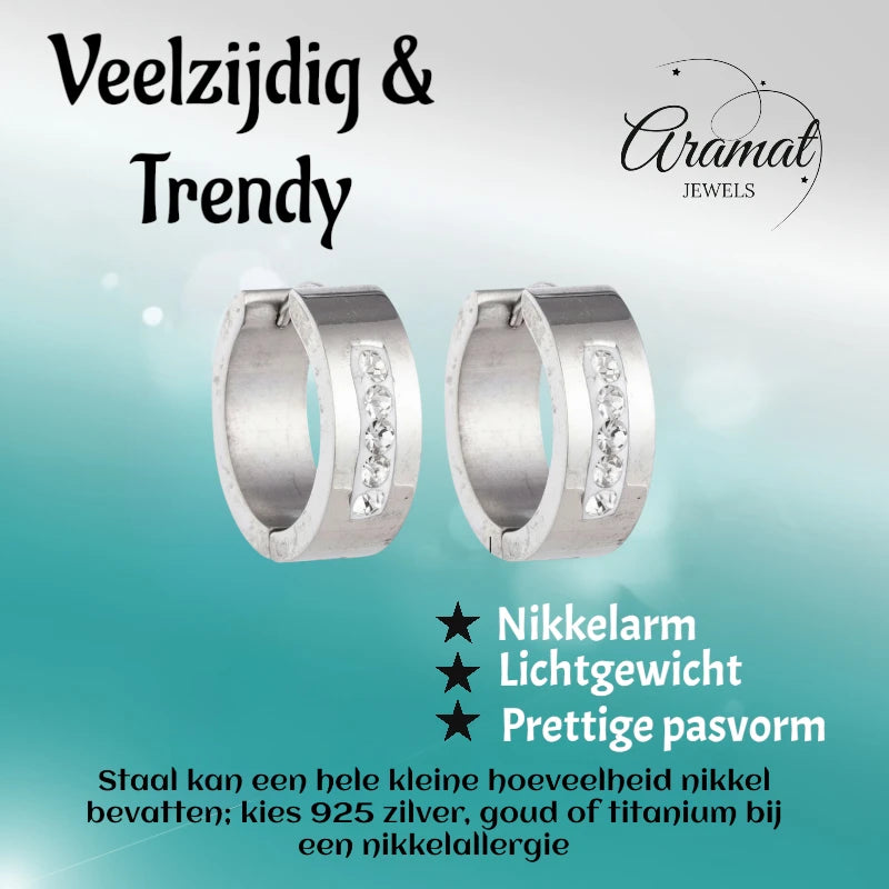 Oorringen – 20mm Kristal Streep RVS Zilverkleur Dames