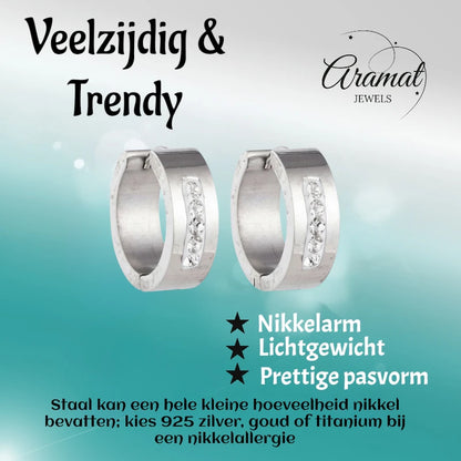 Oorringen – 20mm Kristal Streep RVS Zilverkleur Dames