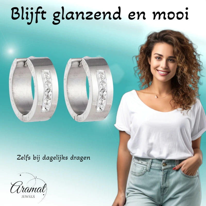 Oorringen – 20mm Kristal Streep RVS Zilverkleur Dames
