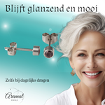 Lila kristal oorstekers – 4mm zilver RVS