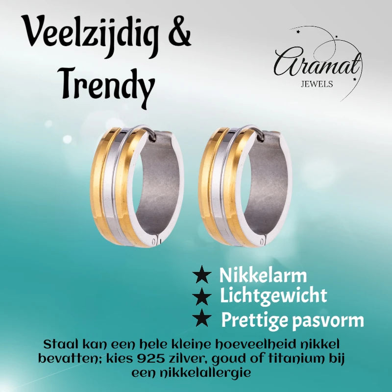 Oorringen – 20mm Bicolor Streep RVS Goud/Zilverkleur Dames