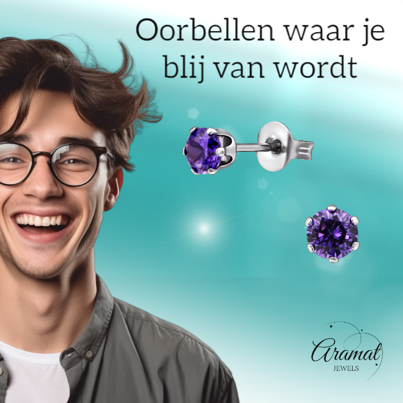 Zirkonia Oorbellen 4mm Paars RVS