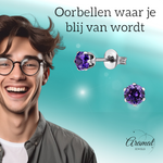 Zirkonia Oorbellen 4mm Paars RVS