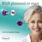 Zirkonia Oorbellen 4mm Paars RVS