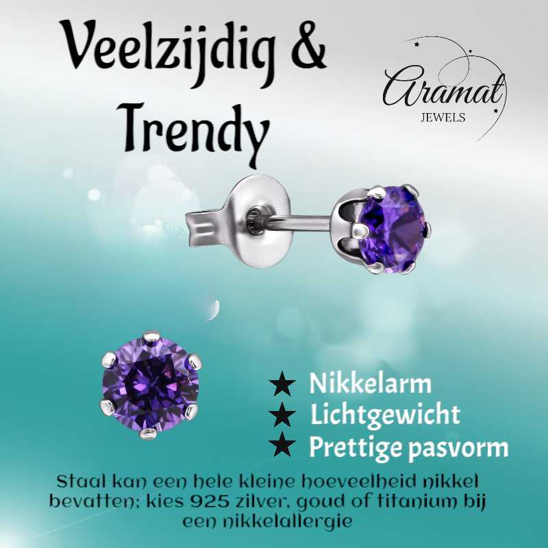 Zirkonia Oorbellen 4mm Paars RVS