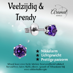 Zirkonia Oorbellen 4mm Paars RVS