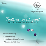 Zirkonia Oorbellen 4mm Paars RVS