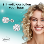 Transparante kristal oorstekers – 5mm zilver RVS