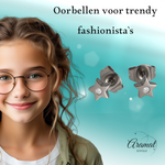 Ster oorstekers zilverkleur kristal – 6mm sprankel