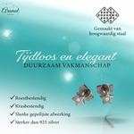 Ster oorstekers zilverkleur kristal – 6mm sprankel