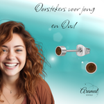 Topaasbruine kristal oorstekers – 4mm zilver RVS