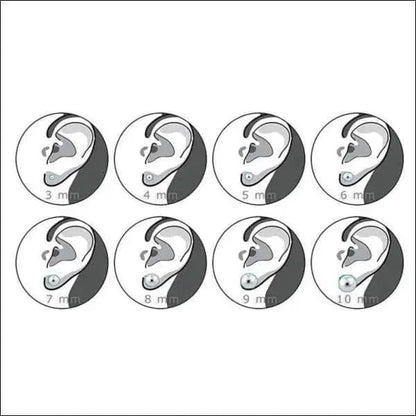 Een Set Van Zes Oorknopjes Met Witte Achtergrond Van ’zilveren Dieren Oorbellen Emaille’.