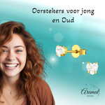 Zirkonia Hart Oorbellen Goudkleur – 4mm