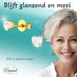 Zirkonia Hart Oorbellen Goudkleur – 4mm