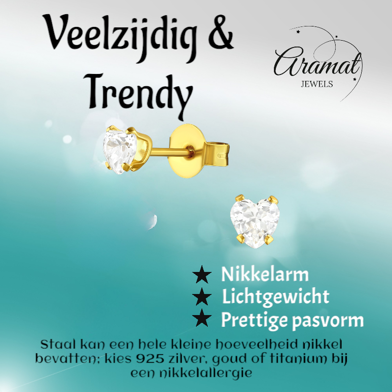Zirkonia Hart Oorbellen Goudkleur – 4mm