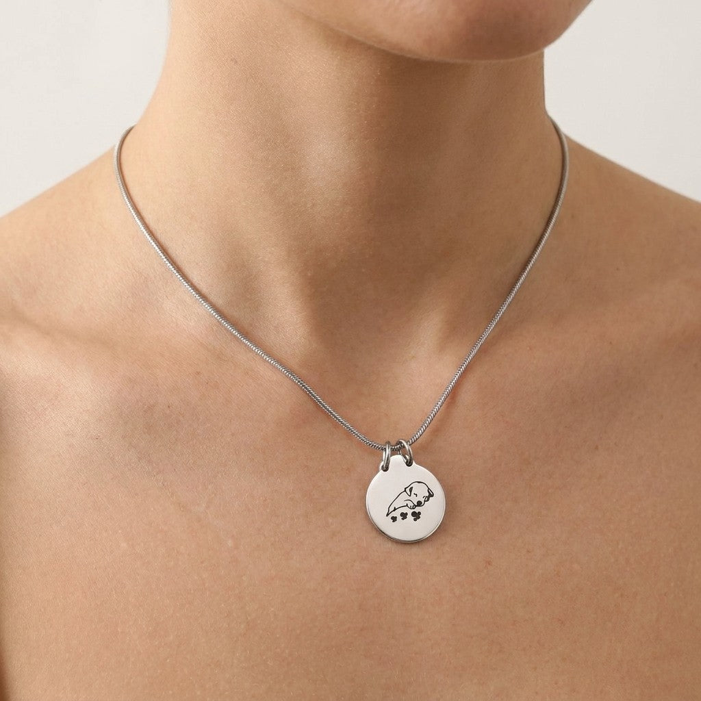 Aramat Jewels silver-tone stainless steel dog ash pendant with a 50cm chain, featuring a sleeping dog and paw prints.