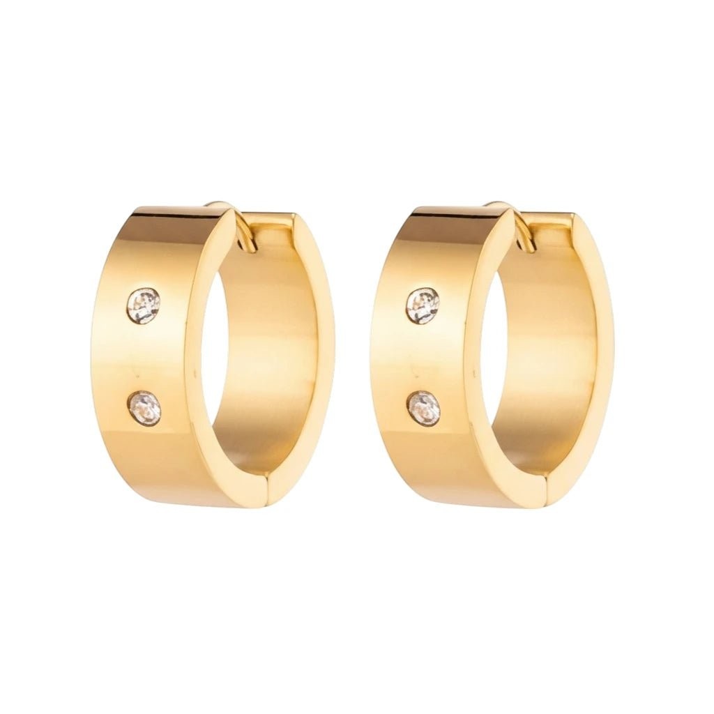 Aramat Jewels gold-tone stainless steel hoop earrings with two clear cubic zirconia stones on each.