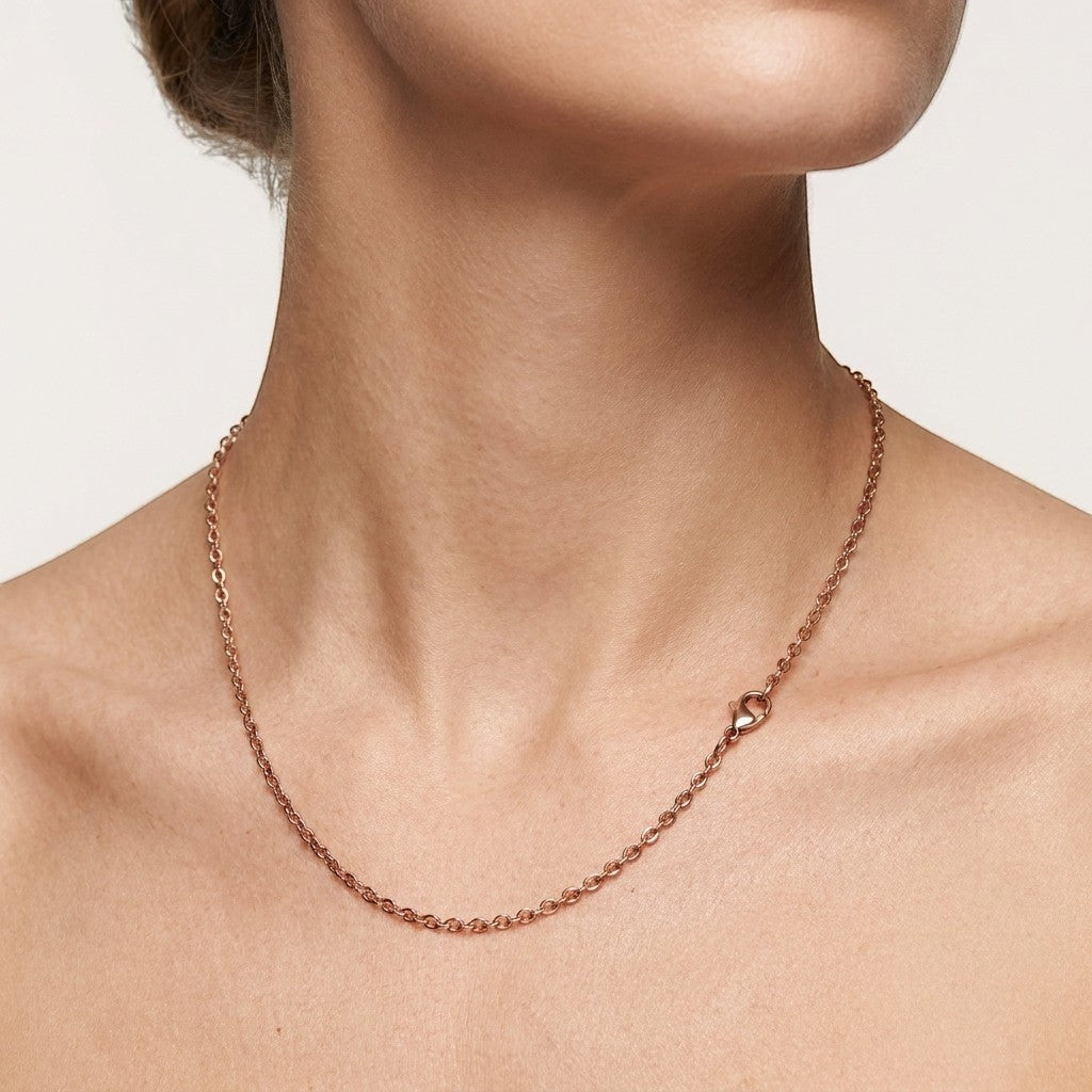 Aramat Jewels rosékleurige stalen anker ketting gedragen om de hals met een subtiele karabijnsluiting.