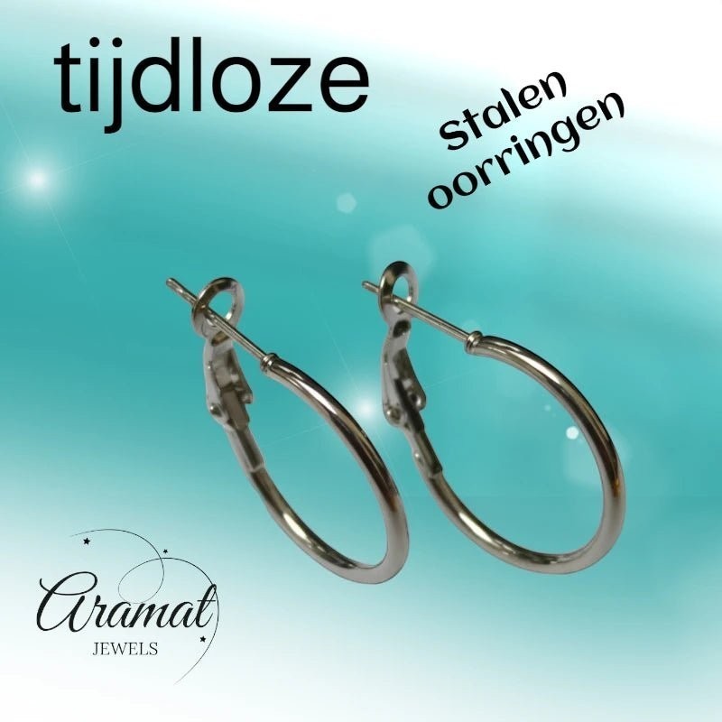 Aramat Jewels silver stainless steel hoop earrings with a high-gloss finish and hinge closure, available in multiple sizes.