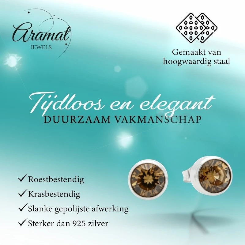 Aramat Jewels zilverkleurige oorstekers met bruin kristal (8mm), gemaakt van roestvrij staal.