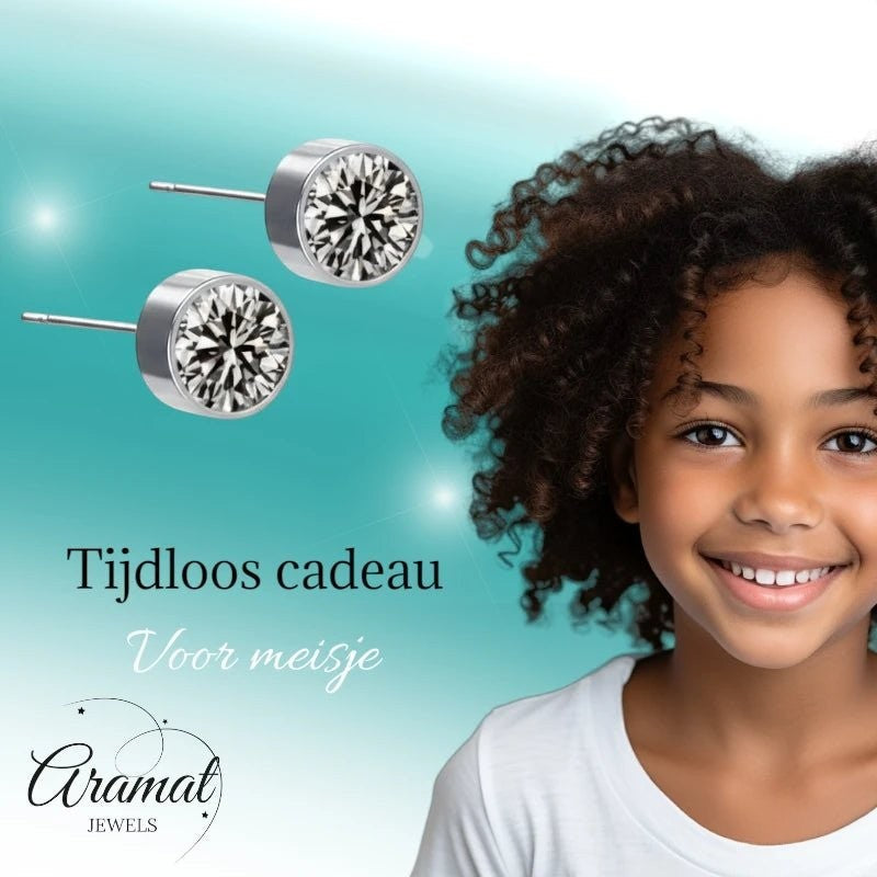 Aramat Jewels zilverkleurige oorstekers met grijs kristal van 6mm, gemaakt van roestvrij staal.