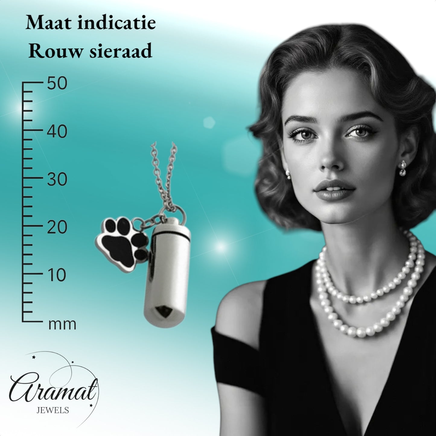 Aramat Jewels zilverkleurige buisvormige ashanger met pootje van roestvrij staal, waterbestendig.