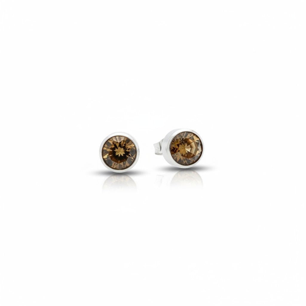 Aramat Jewels zilverkleurige oorstekers met bruin kristal (8mm) van roestvrij staal.