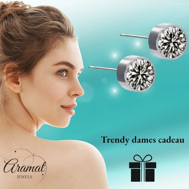 Aramat Jewels zilverkleurige oorstekers met grijs kristal (6mm) van roestvrij staal.