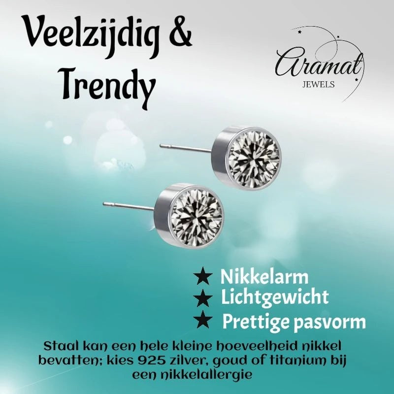 Aramat Jewels zilverkleurige oorstekers met 6mm grijs kristal, gemaakt van roestvrij staal. Nikkelarm en lichtgewicht.