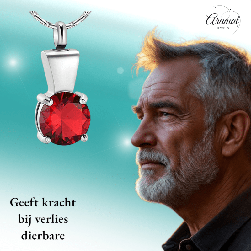 Ashanger met Rode Zirkonia - Zilverkleurig RVS - 28x12 mm - hang1364 - 20002 - Gedenkhangers kopen# - 28mm - alles - ashangers