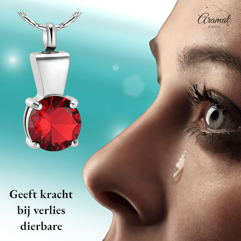 Ashanger met Rode Zirkonia - Zilverkleurig RVS - 28x12 mm - hang1364 - 20002 - Gedenkhangers kopen# - 28mm - alles - ashangers
