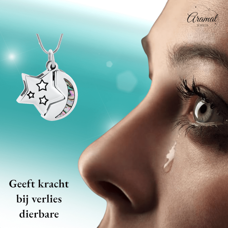 Ashanger Ster en Maan - Zilverkleurig RVS met Abalone - hang1475 - IJD20083 - Gedenkhangers kopen# - 22mm - Abalone - alles