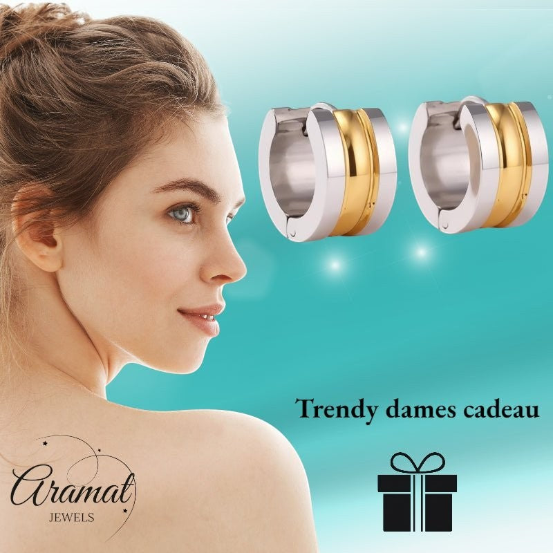 Bicolor Stalen Oorringen met Twee Halfronde Strepen - Aramat Jewels - Oorringen - cadeautip