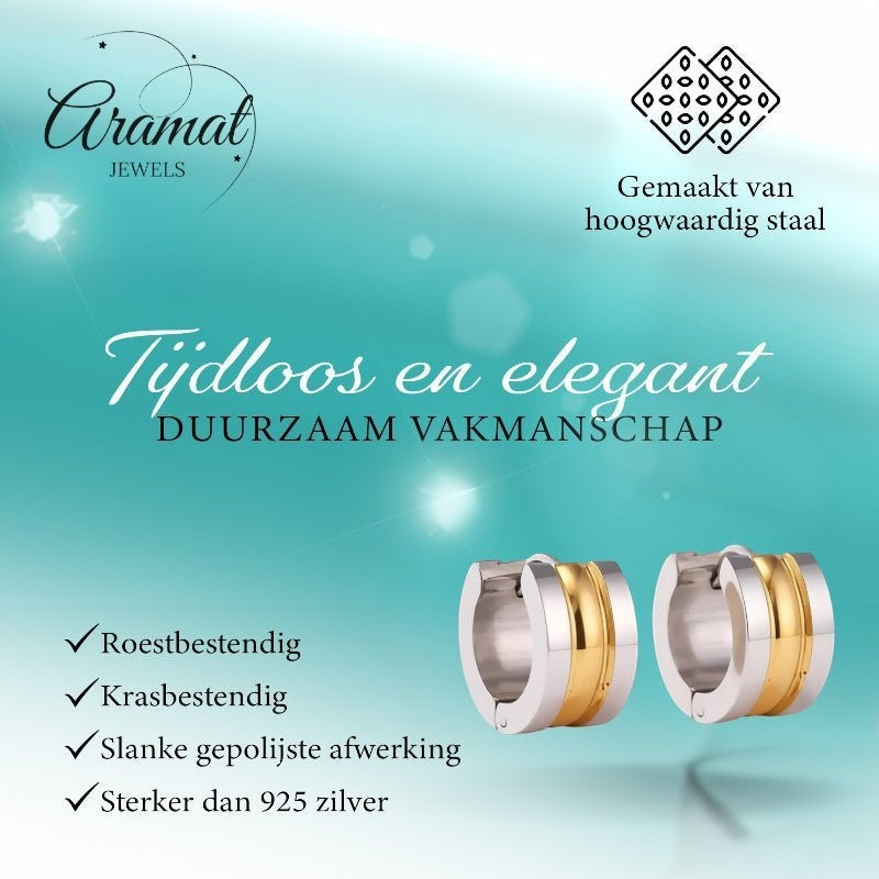 Bicolor Stalen Oorringen met Twee Halfronde Strepen - Aramat Jewels - Oorringen - cadeautip