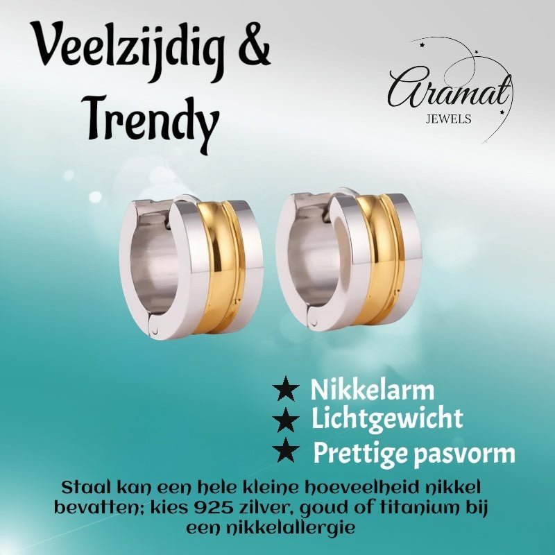 Bicolor Stalen Oorringen met Twee Halfronde Strepen - Aramat Jewels - Oorringen - cadeautip