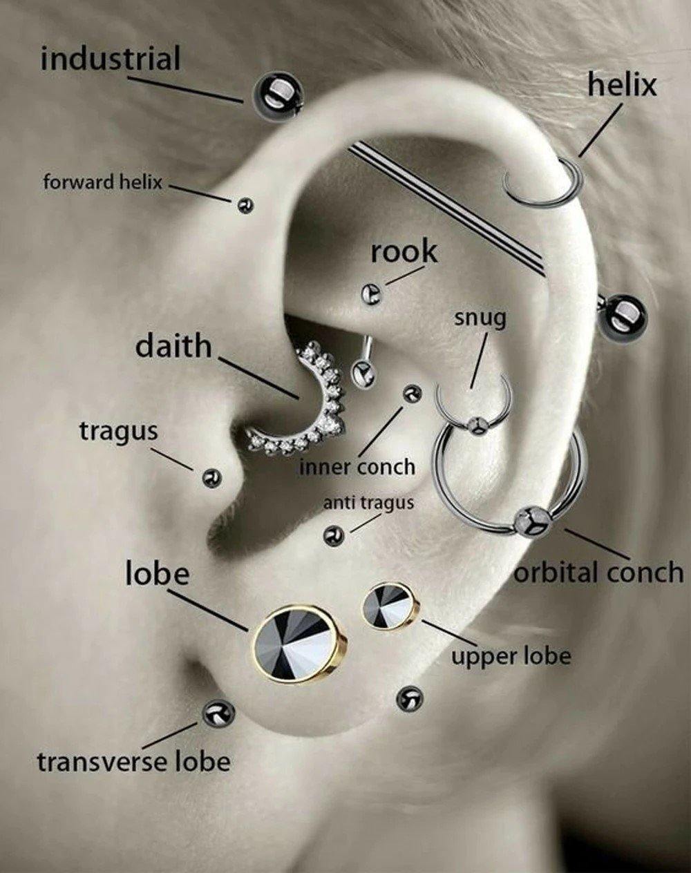 Een schema van de verschillende soorten piercings